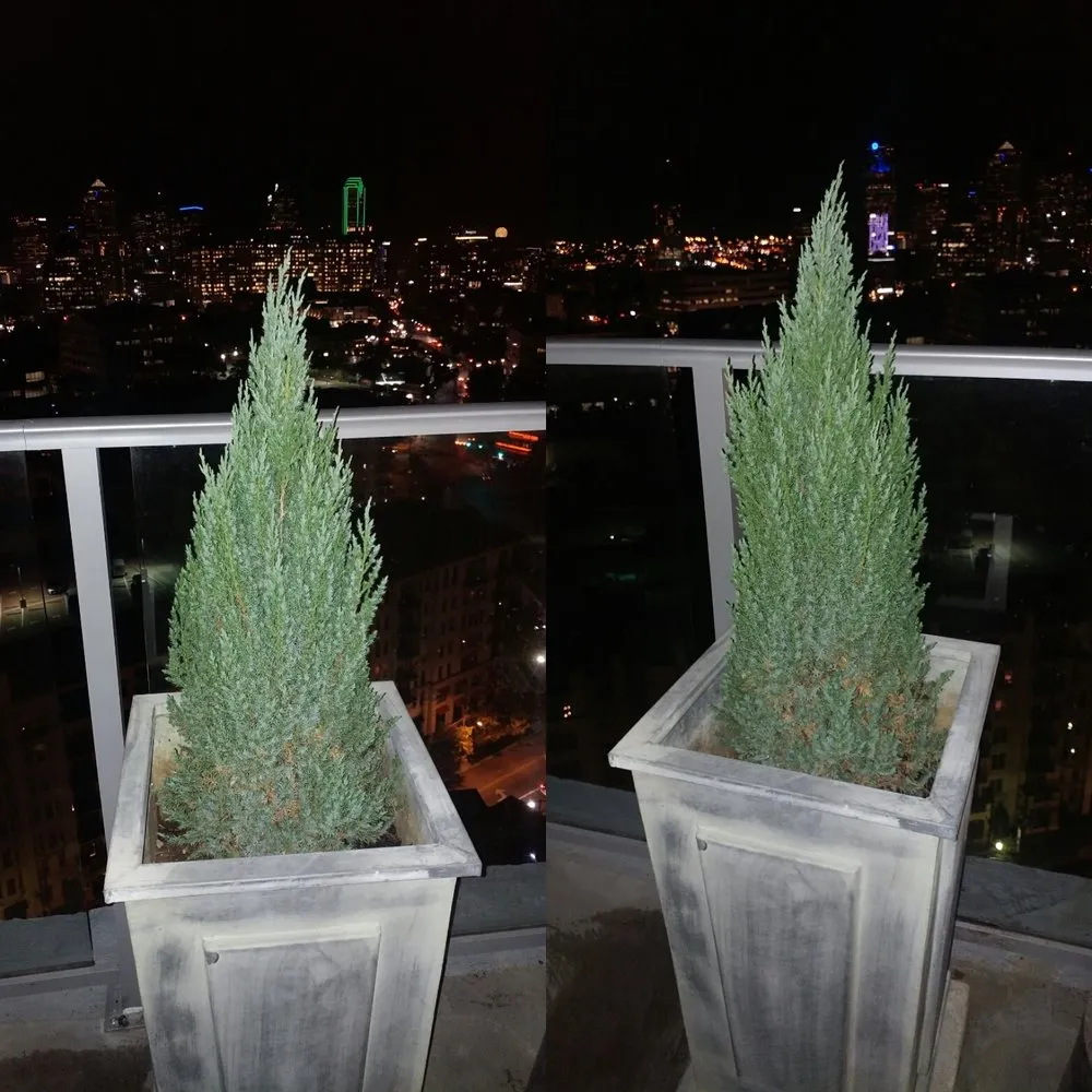 Professional lawn mowing service experts serving Carrollton, TX - Loera's Landscaping