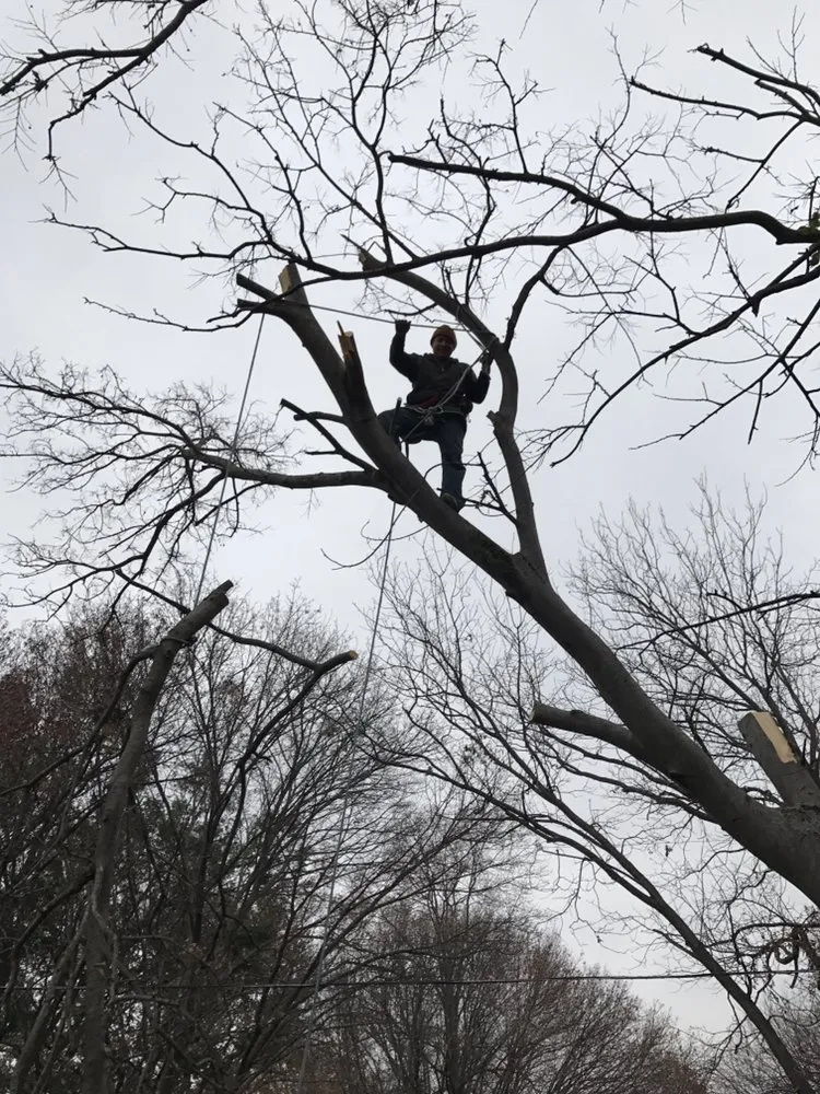 Expert garden landscaping in Carrollton, TX by Loera's Landscaping