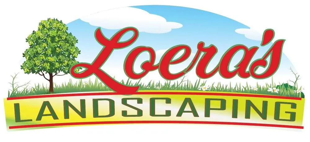 Custom yard cleanup service in Carrollton, TX by Loera's Landscaping
