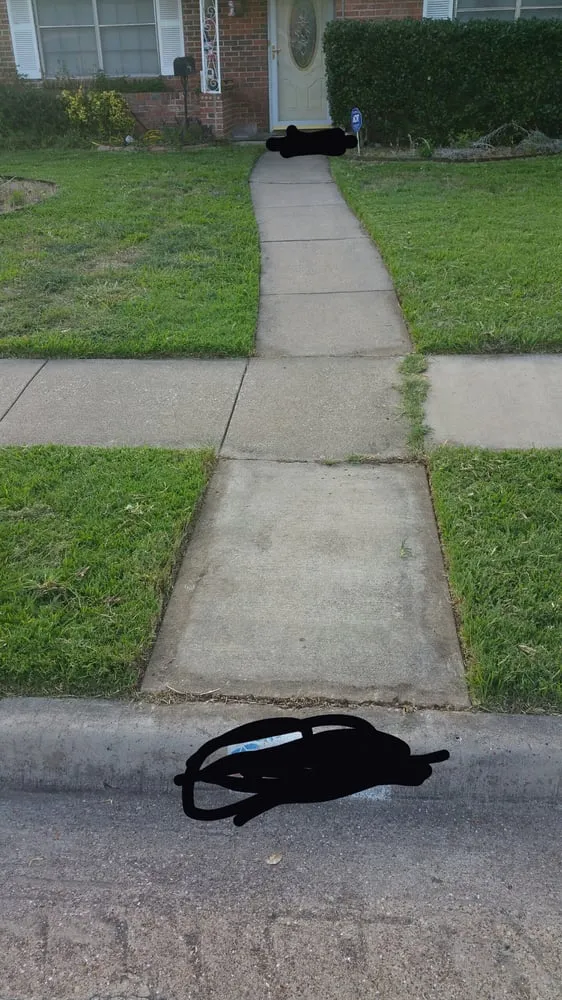 Top-rated yard cleanup service experts serving Carrollton, TX - Loera's Landscaping