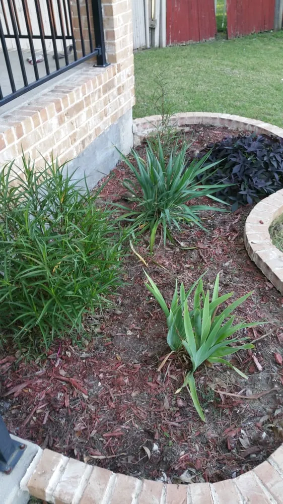 Reliable residential landscaping for residential properties across Carrollton, TX - Loera's Landscaping