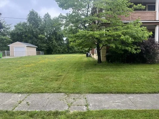 Loes Lawn and Care Logo