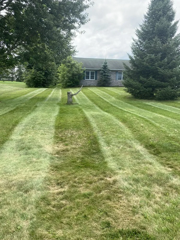 Reliable lawn care service in Stevens Point, WI by Loewe Estate Care