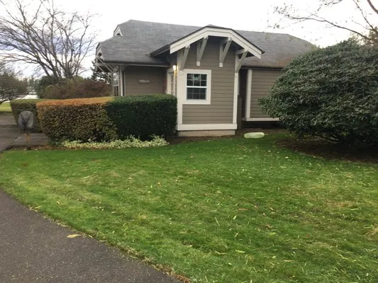 Loeza Landscaping Logo