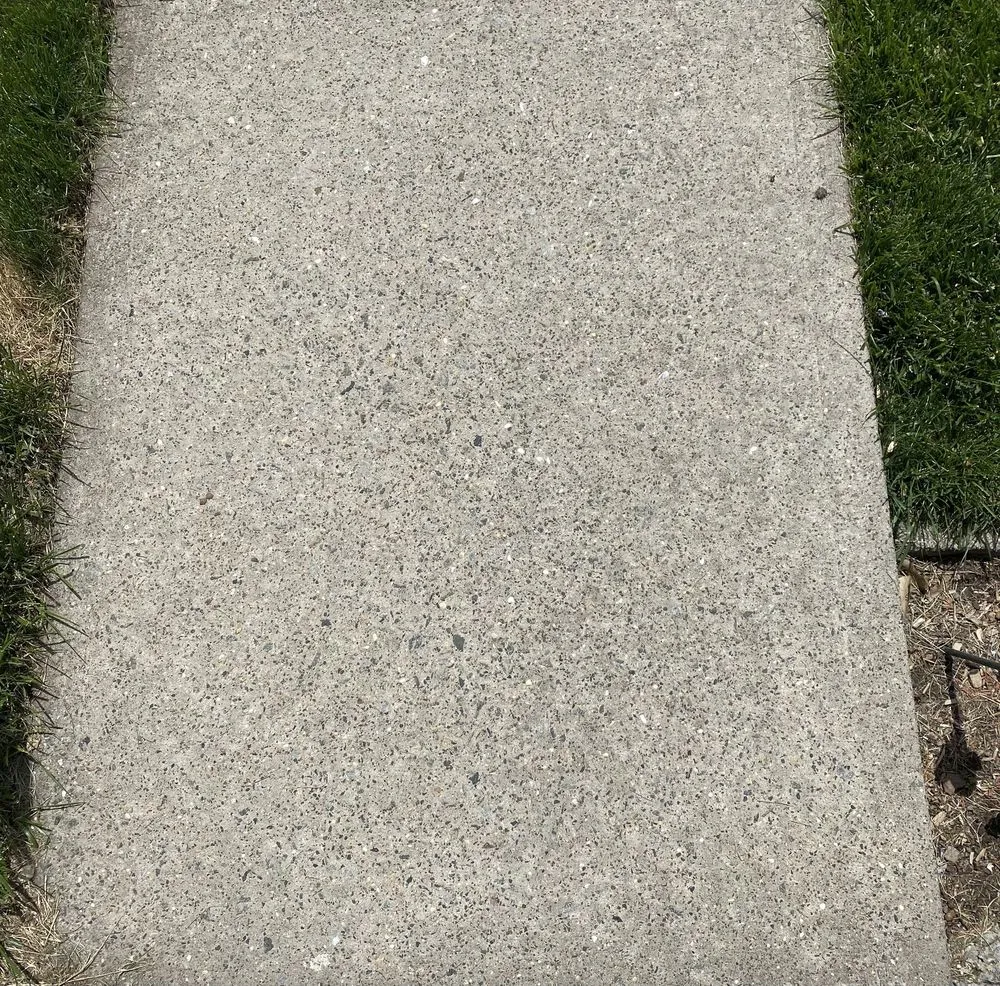 Expert landscaping services in Staten Island, NY by Loffreno Landscape Contracting