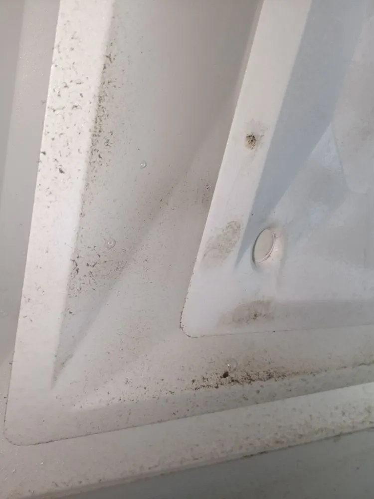 Professional residential landscaping near you across Lake Monticello, VA - Lofton's Contractor and Maintenance Technician Center