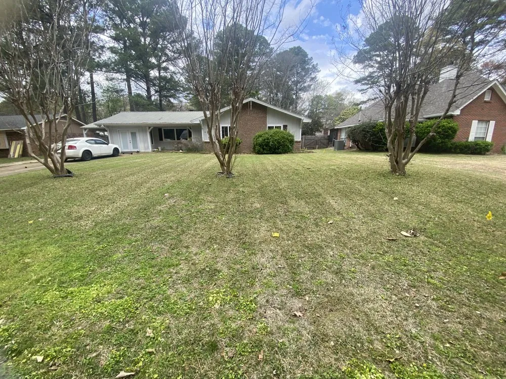 Custom lawn mowing service for homes in Madison, MS by LOGA Lawncare