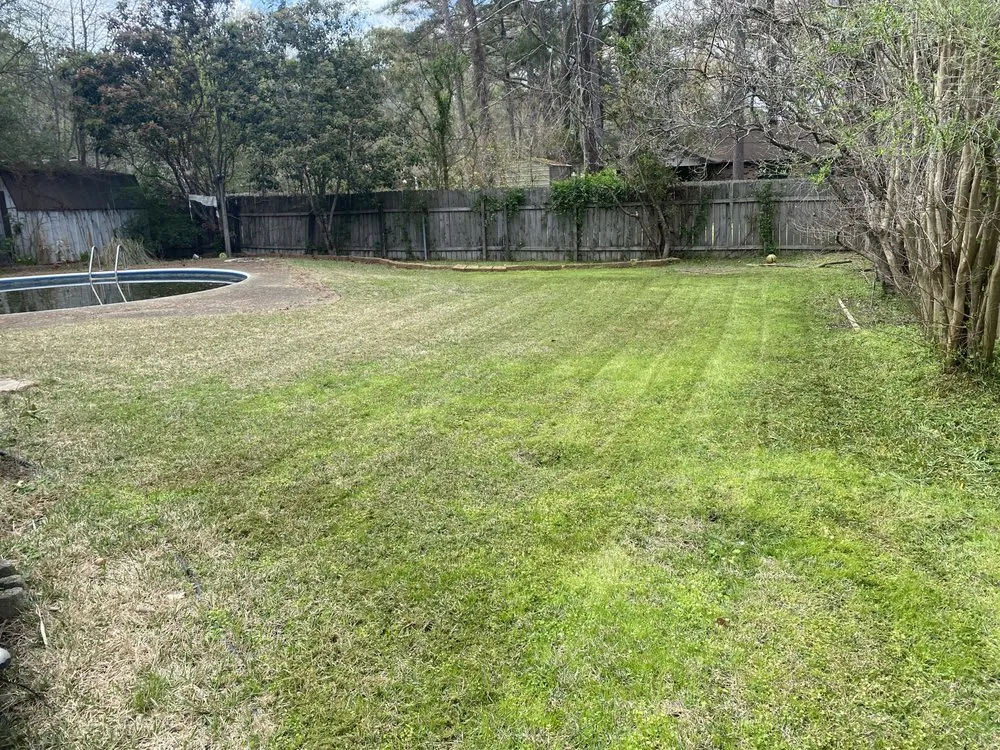 Custom yard maintenance in Madison, MS - LOGA Lawncare