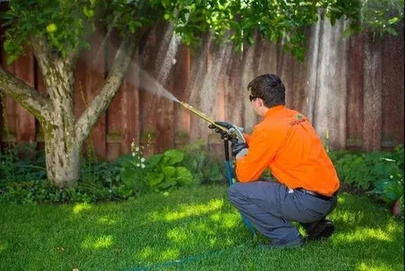 Custom garden landscaping for year-round maintenance in Logan, UT by Logan Extermination Services