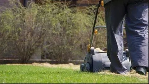 Affordable yard maintenance with custom design in Logan, UT by Logan Extermination Services
