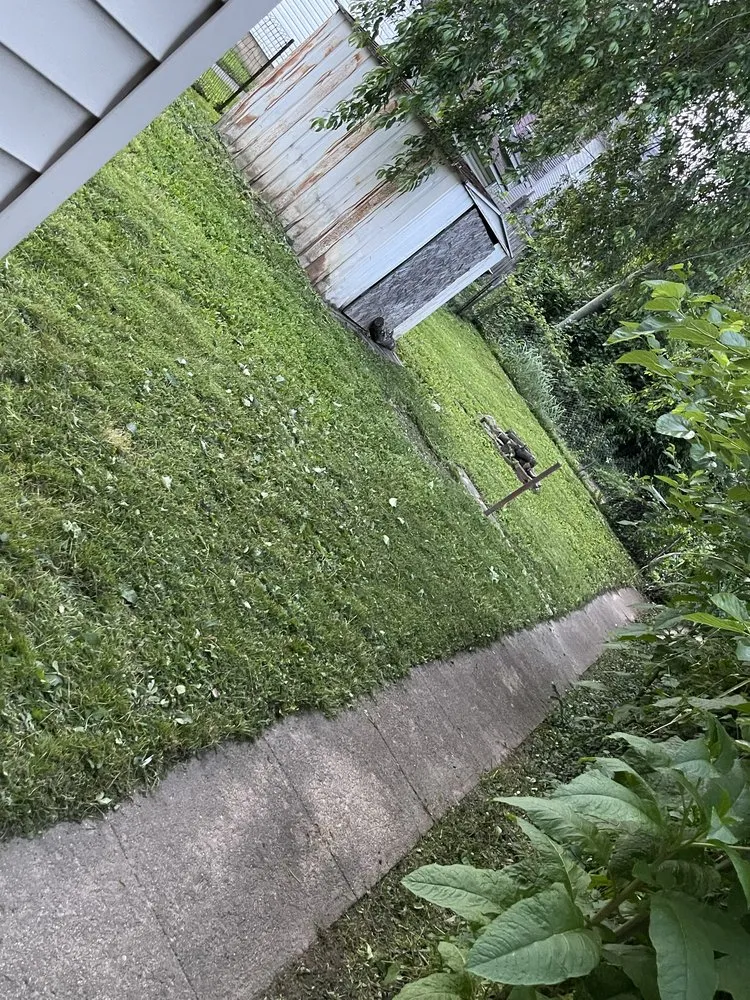 Trusted yard cleanup service for outdoor upgrades in Portsmouth, OH by Logan Lawn Care