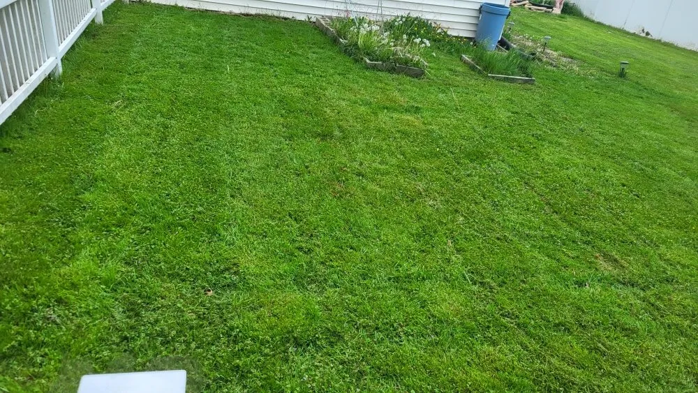 Affordable yard cleanup service for residential properties across Warren, OH - Logan Lawn Care