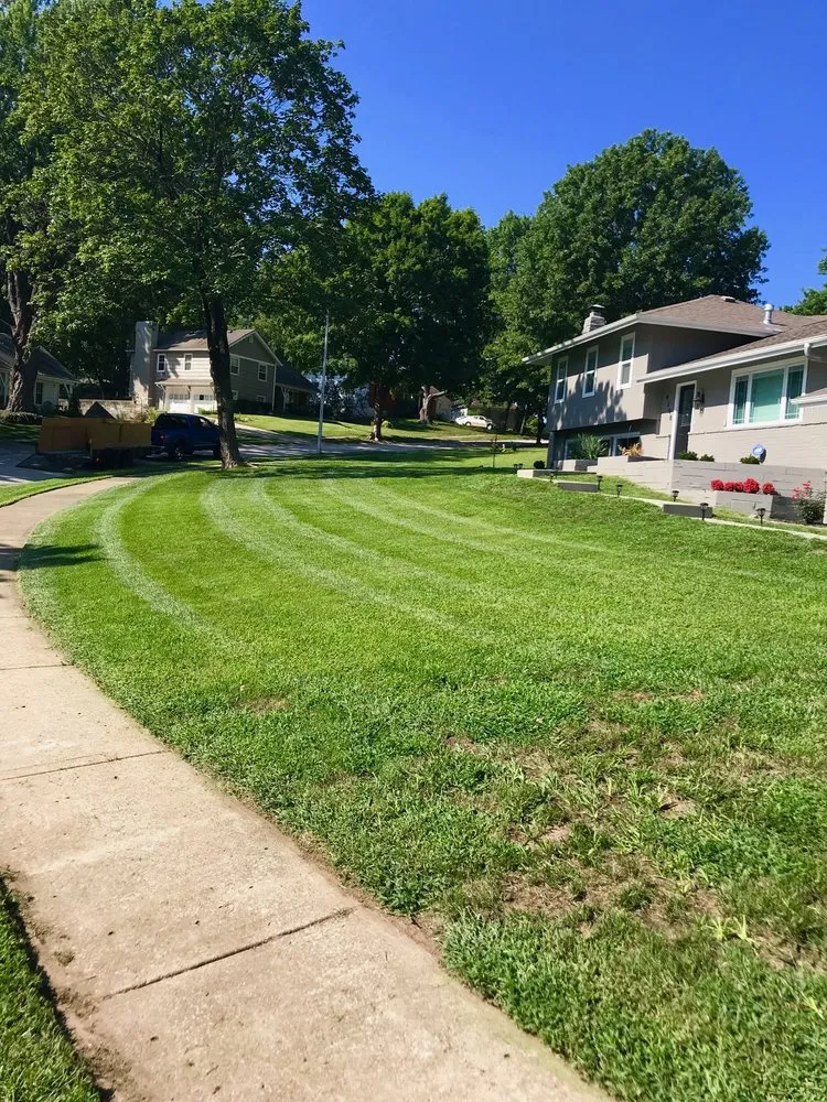 Professional yard maintenance for beautiful yards across Olathe, KS - Logan Total Lawncare