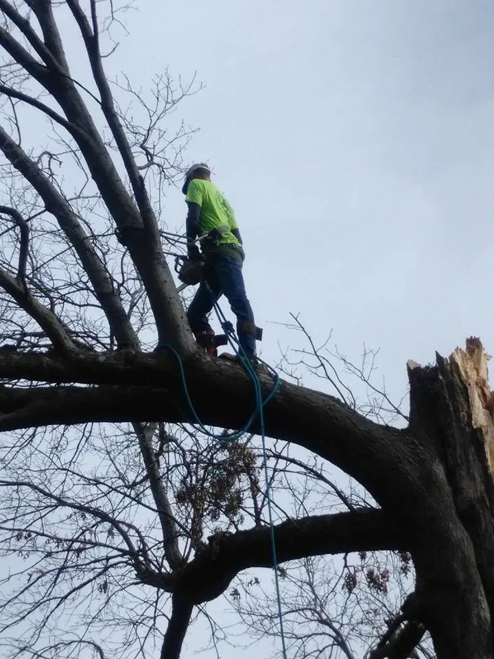 Professional residential landscaping experts serving Derby, KS - Logan's Landscape & Tree Service