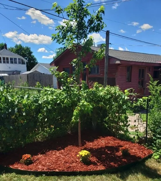 Professional landscape installation in Winona, MN - Logans Landscape