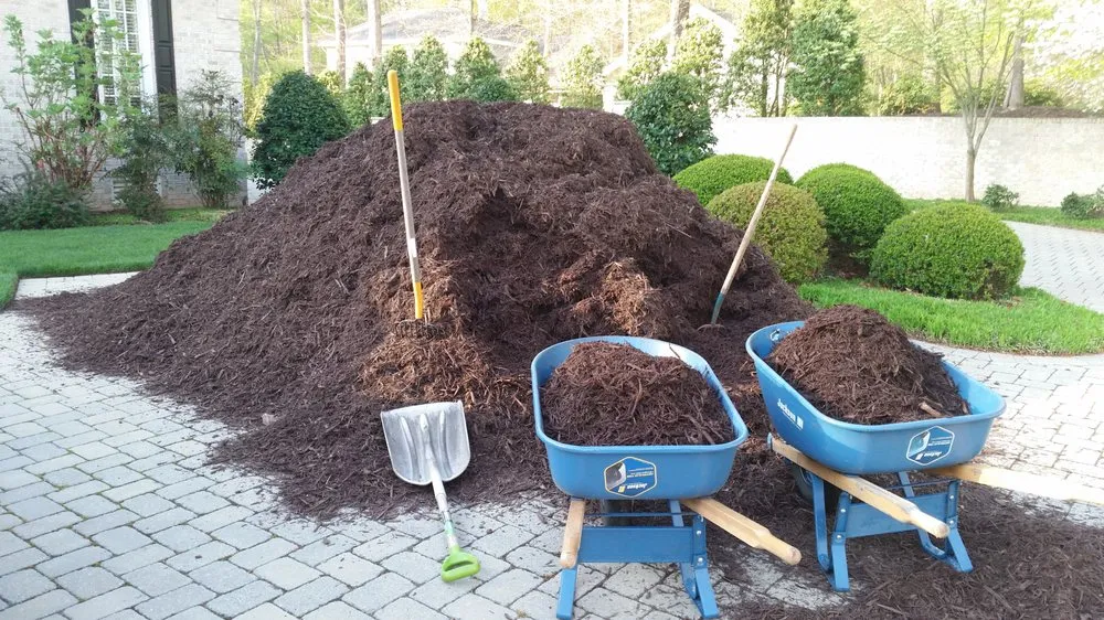 Top-rated lawn care service in Midlothian, VA by Logan's Landscaping