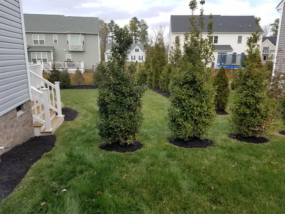 Trusted landscape design in Midlothian, VA - Logan's Landscaping