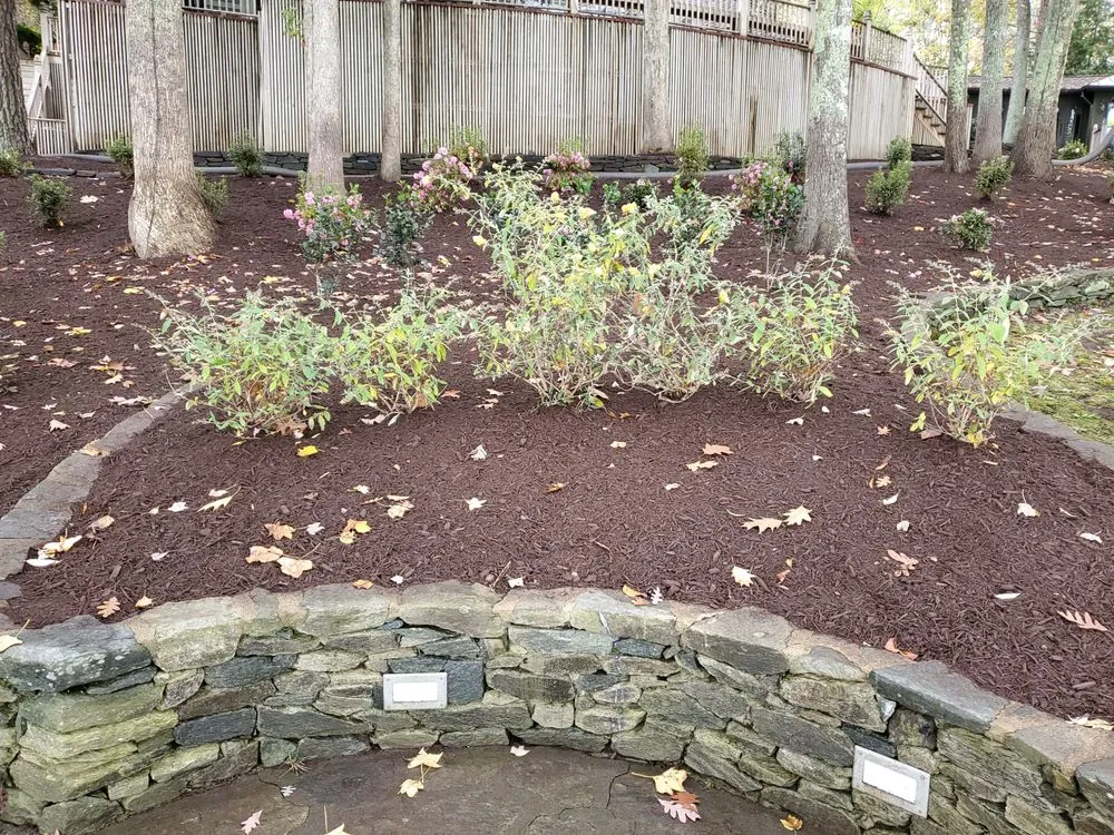 Custom yard cleanup service in Midlothian, VA - Logan's Landscaping