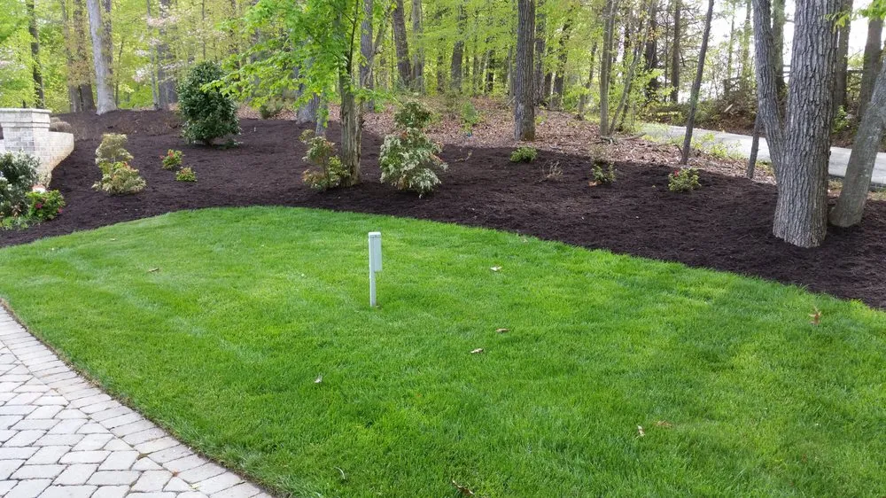 Expert yard maintenance experts serving Midlothian, VA - Logan's Landscaping