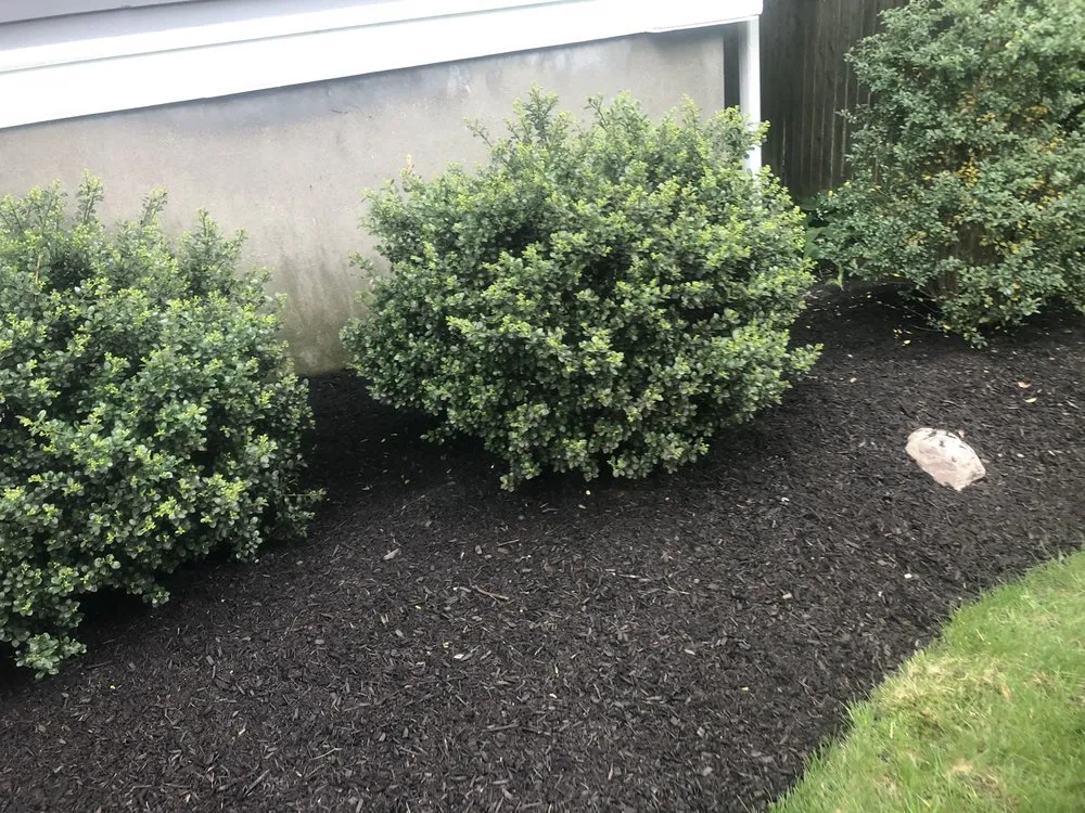 Trusted lawn care service for outdoor upgrades in Quincy, MA by Logan’s Landscaping