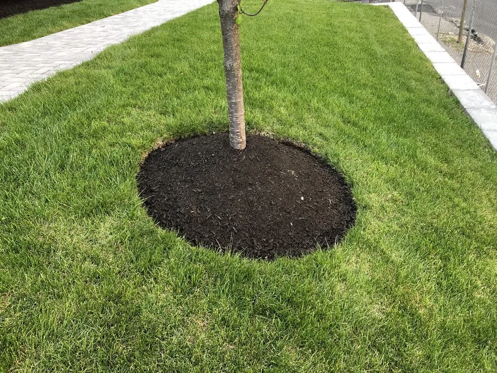 Local landscape design with custom design in Quincy, MA by Logan’s Landscaping