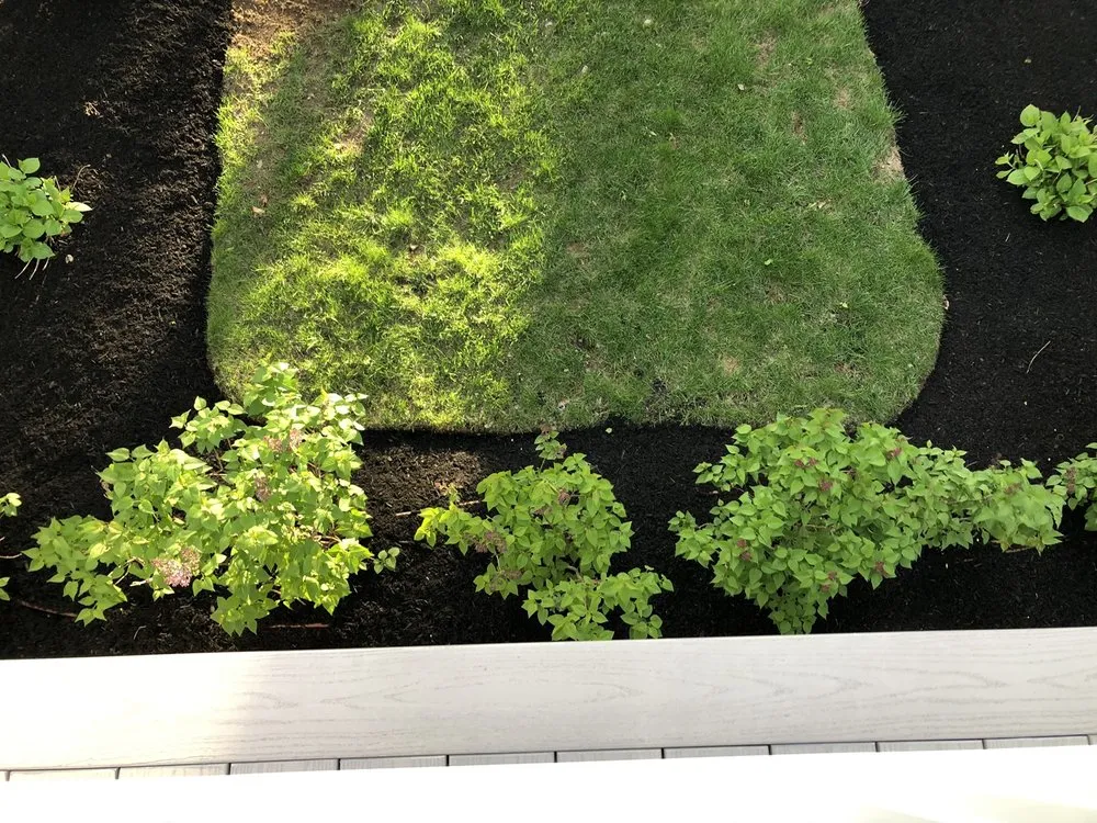 Top-rated landscaping services for beautiful yards across Quincy, MA - Logan’s Landscaping