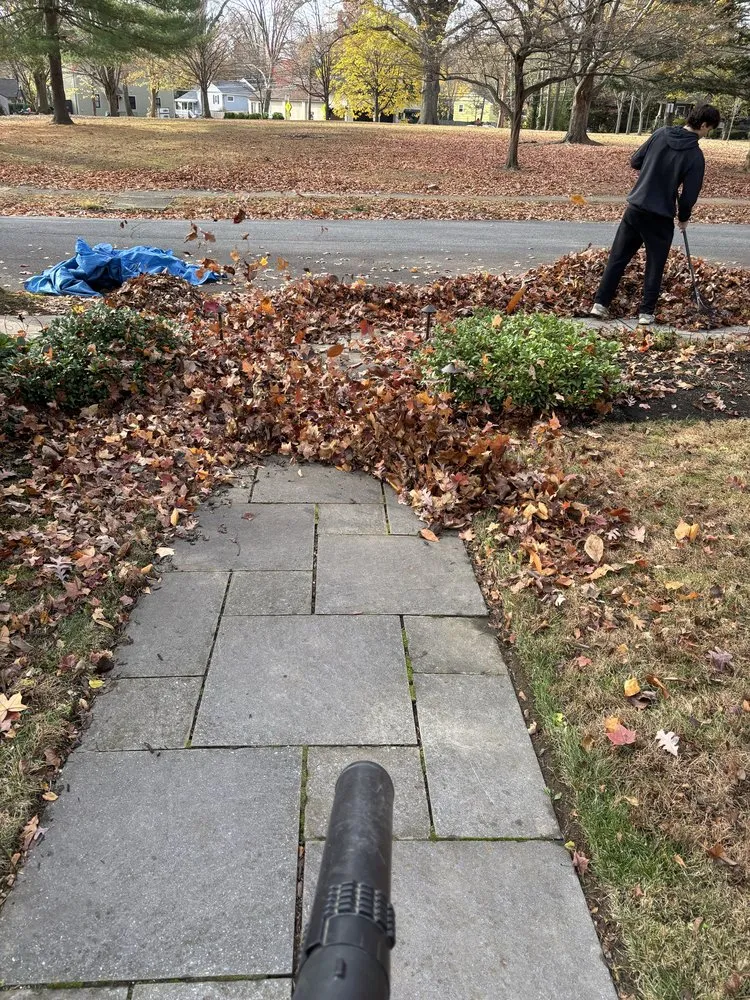 Top-rated yard maintenance for homes in Rose Valley, PA by Logan’s Landscaping