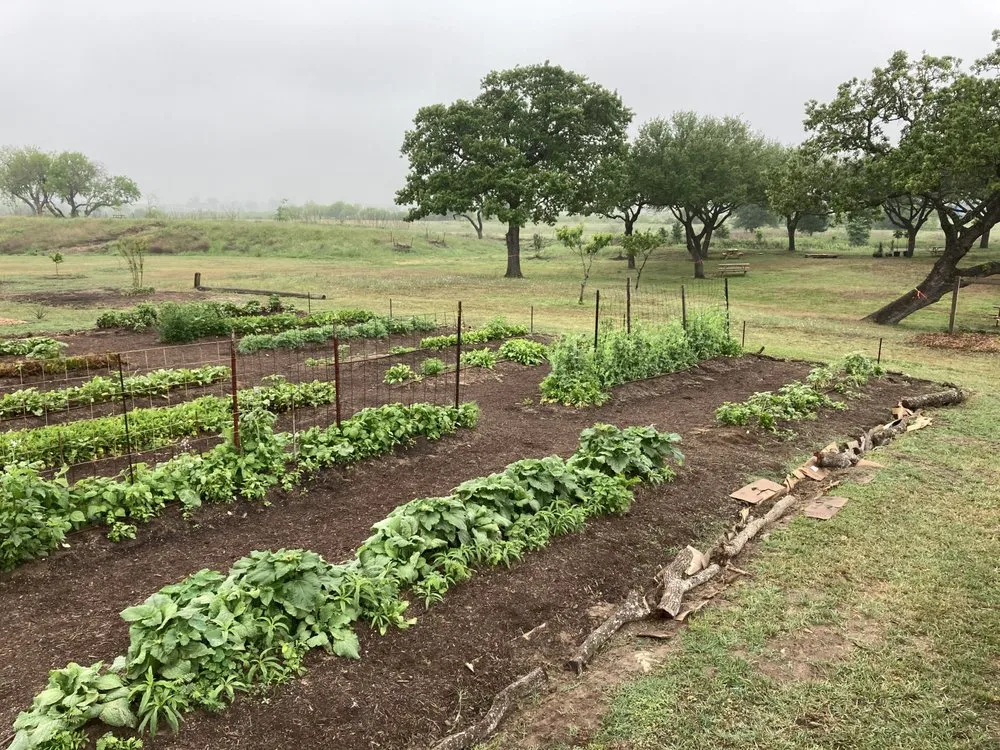 Reliable residential landscaping near you across Austin, TX - Logan's Lawn & Garden