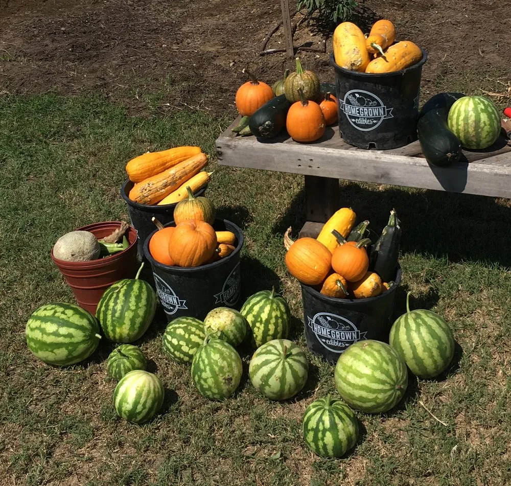 Custom lawn mowing service in Austin, TX - Logan's Lawn & Garden