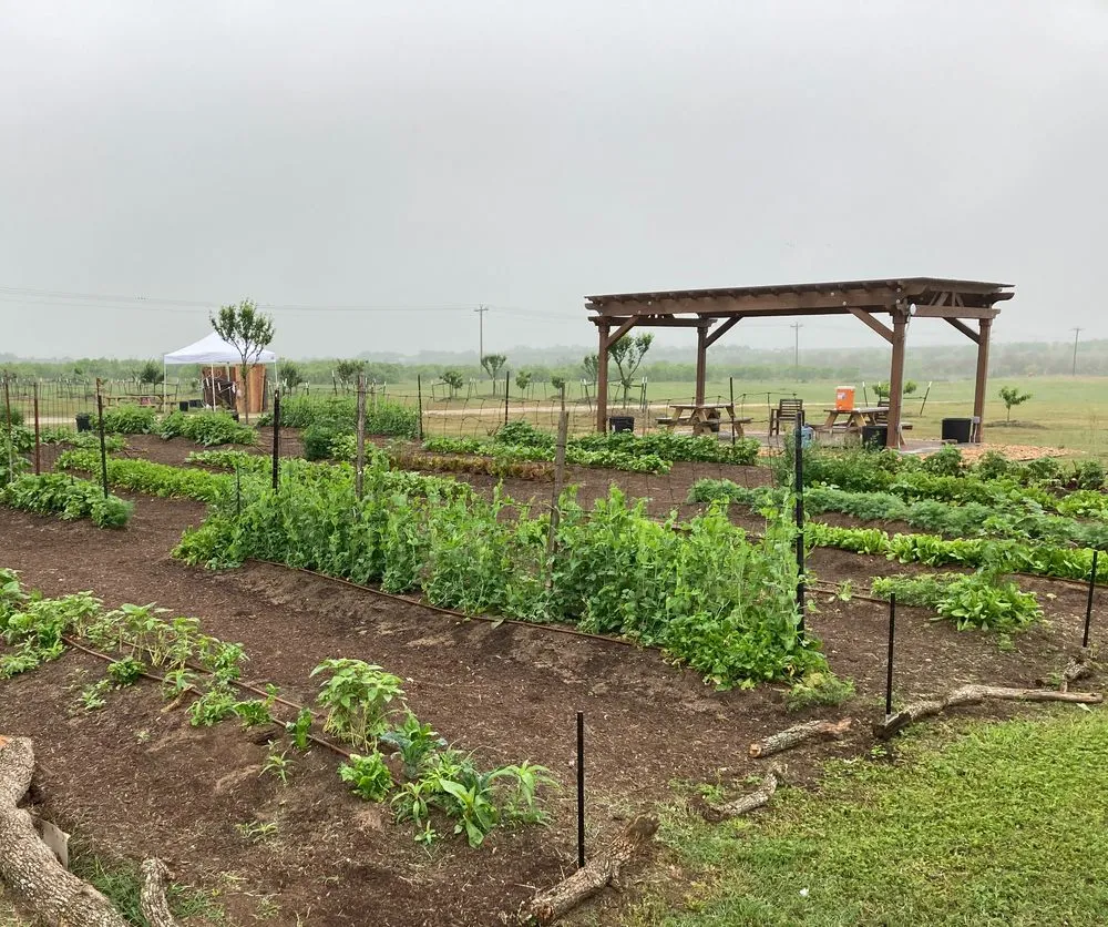 Local yard maintenance experts serving Austin, TX - Logan's Lawn & Garden