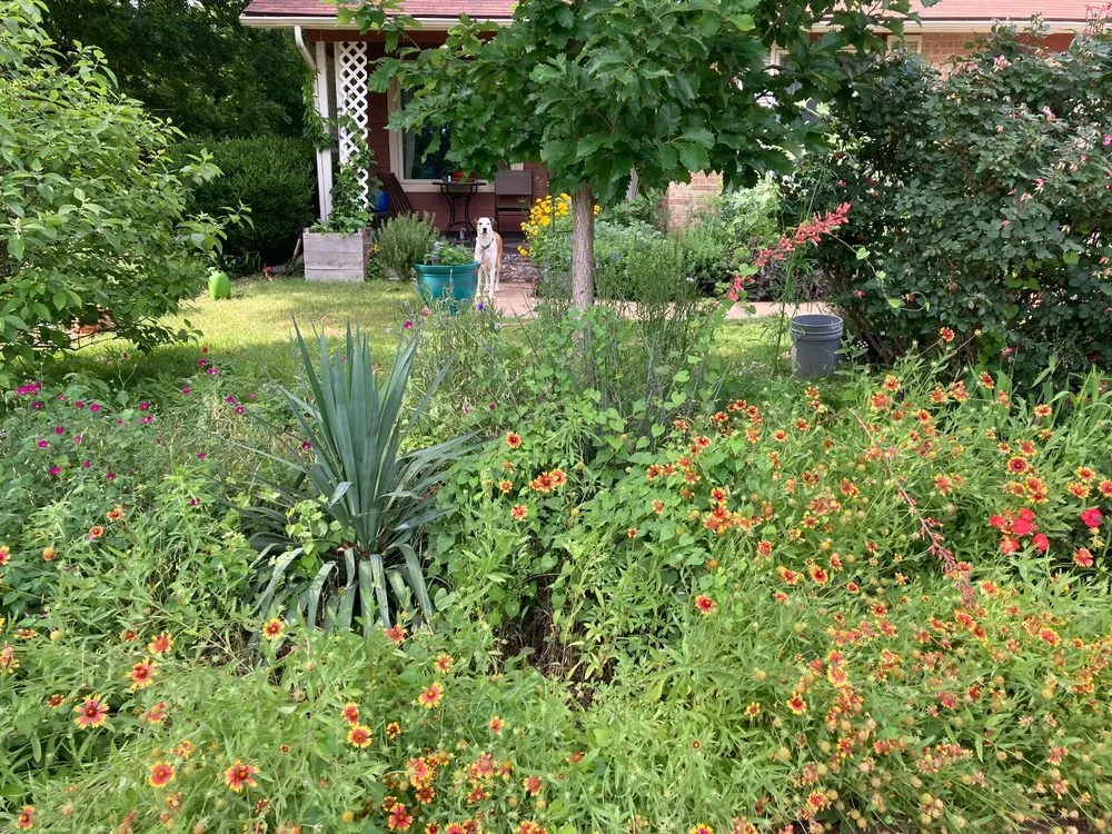 Professional residential landscaping experts serving Austin, TX - Logan's Lawn & Garden