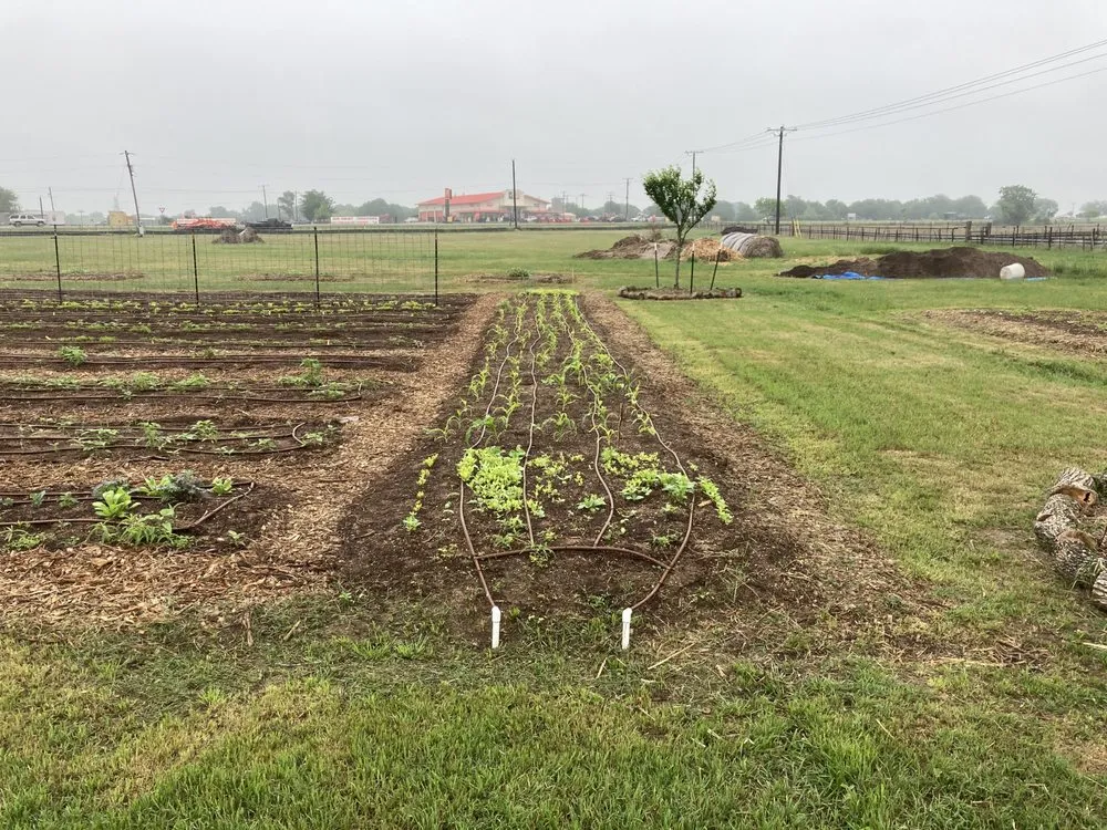 Custom yard cleanup service in Austin, TX by Logan's Lawn & Garden