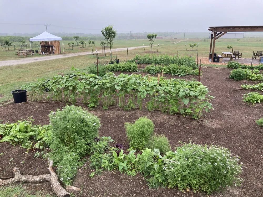 Top-rated landscape installation with custom design across Austin, TX - Logan's Lawn & Garden