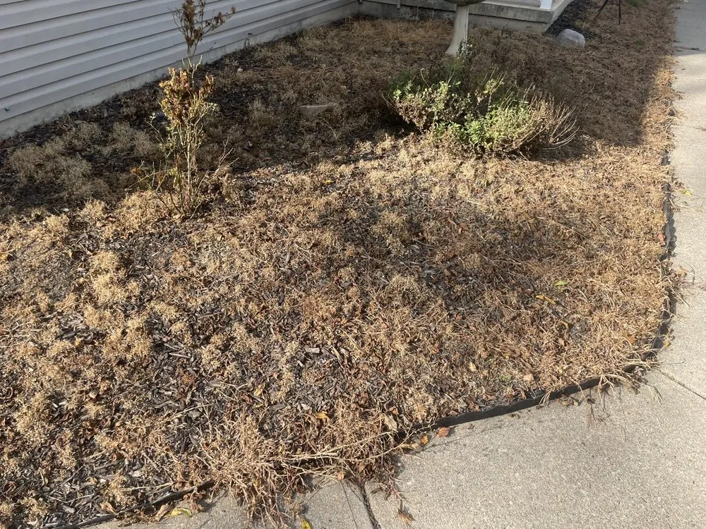 Professional outdoor landscaping in Bangor, PA by Logan’s Lawn Care And Landscaping