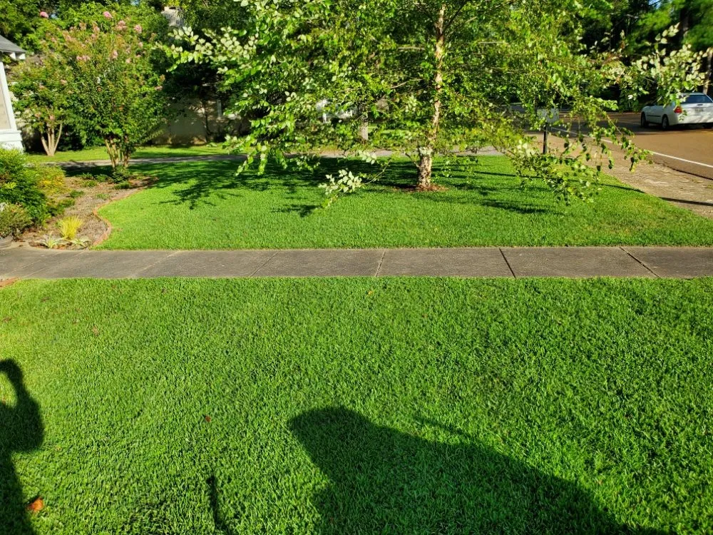 Local landscaping services for beautiful yards across Sardis, MS - Logan's Lawn Care and Maintenance