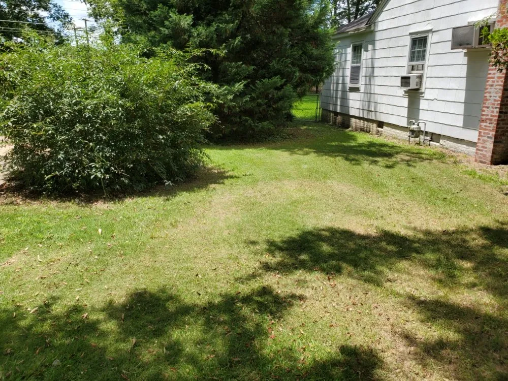 Professional yard cleanup service experts serving Sardis, MS - Logan's Lawn Care and Maintenance