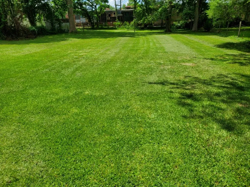 Top-rated yard cleanup service in Sardis, MS - Logan's Lawn Care and Maintenance