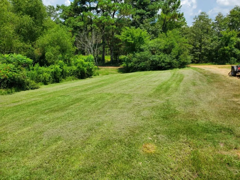 Expert yard maintenance in Sardis, MS - Logan's Lawn Care and Maintenance