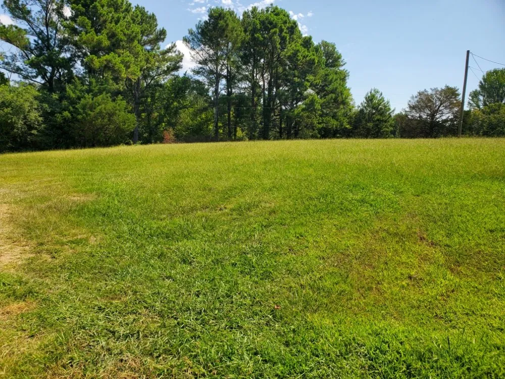 Trusted lawn mowing service for homes in Sardis, MS by Logan's Lawn Care and Maintenance