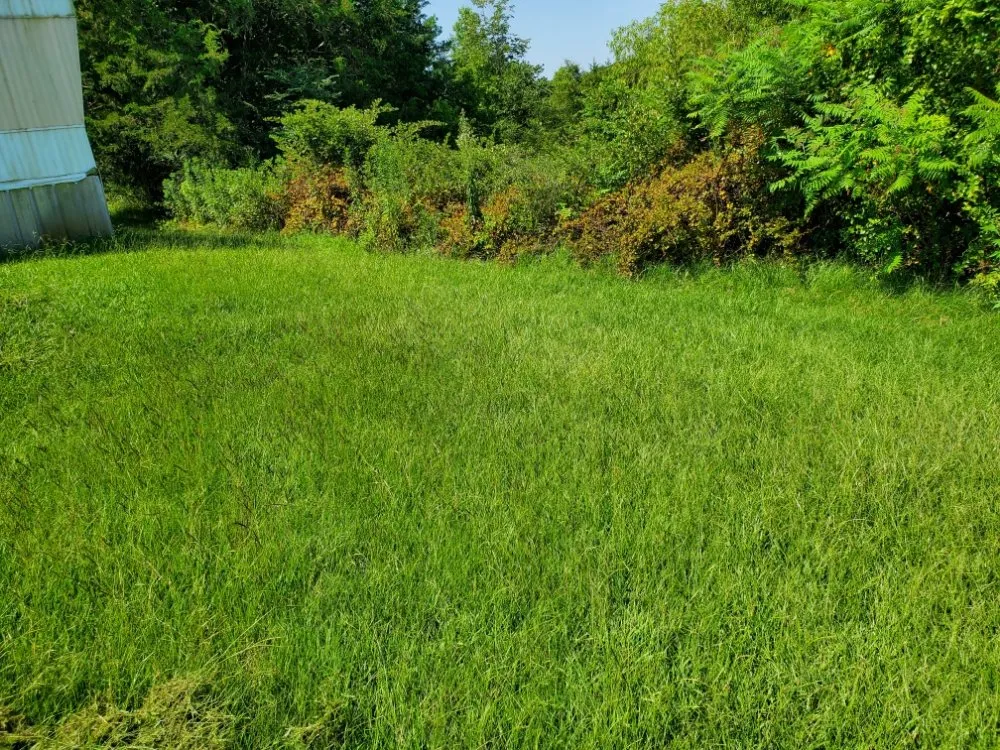 Top-rated garden landscaping experts serving Sardis, MS - Logan's Lawn Care and Maintenance