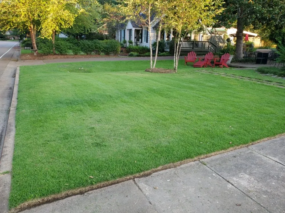Top-rated landscape design in Sardis, MS - Logan's Lawn Care and Maintenance