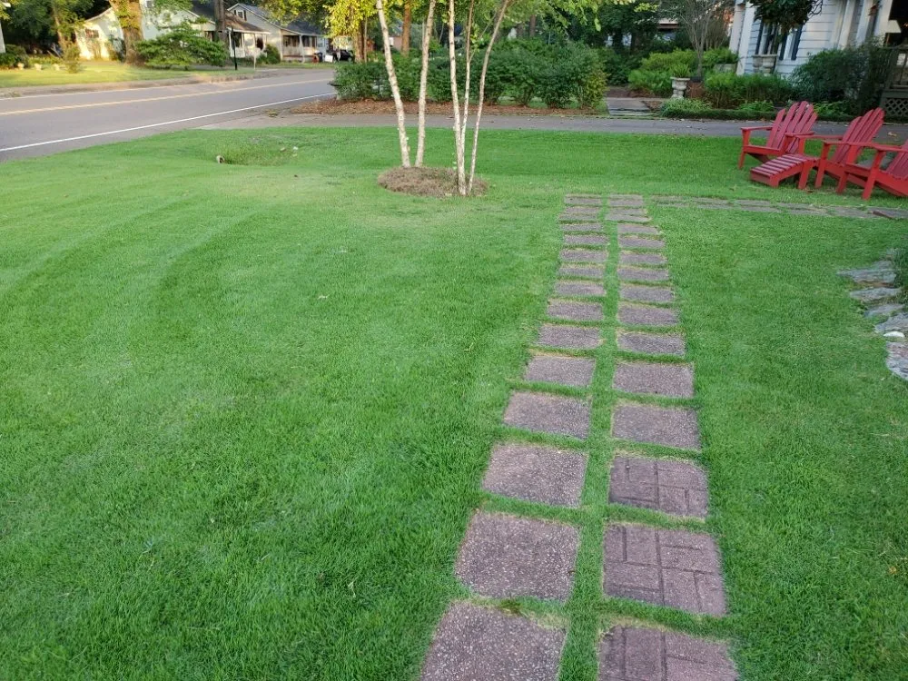 Top-rated yard maintenance experts serving Sardis, MS - Logan's Lawn Care and Maintenance