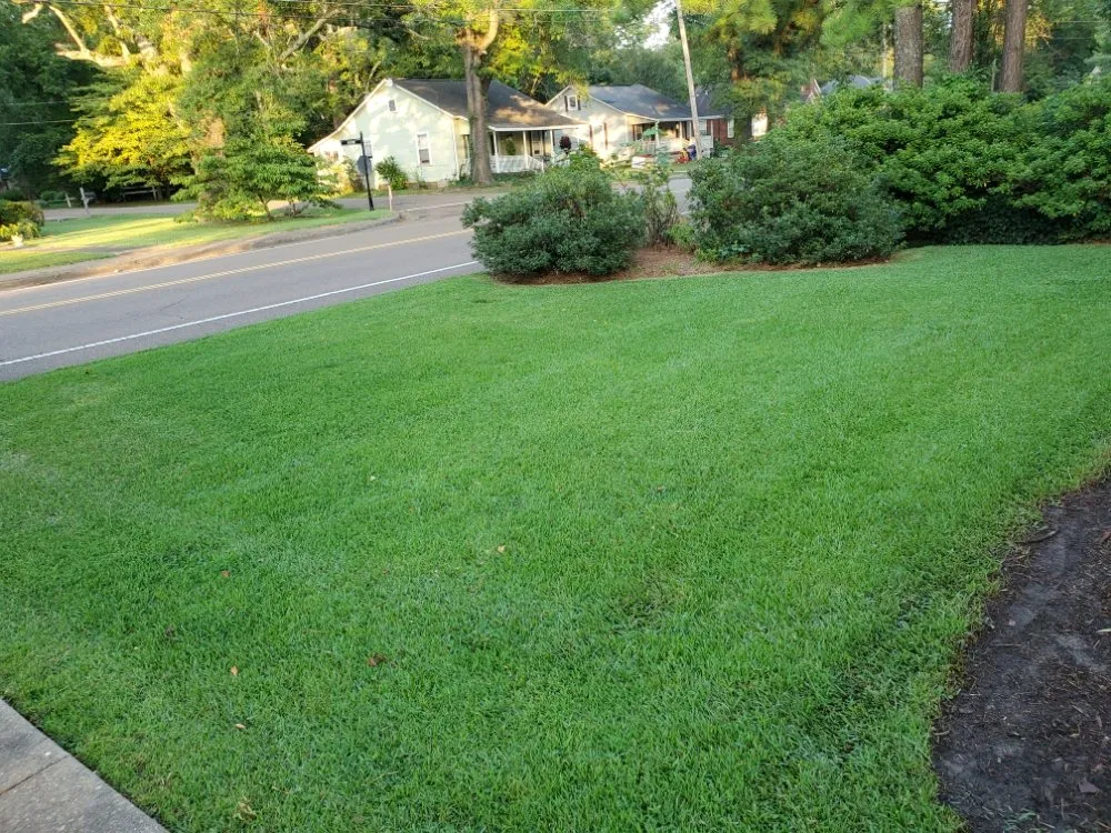 Affordable outdoor landscaping experts serving Sardis, MS - Logan's Lawn Care and Maintenance