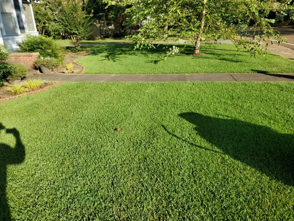 Local landscaping services for homes across Sardis, MS - Logan's Lawn Care and Maintenance