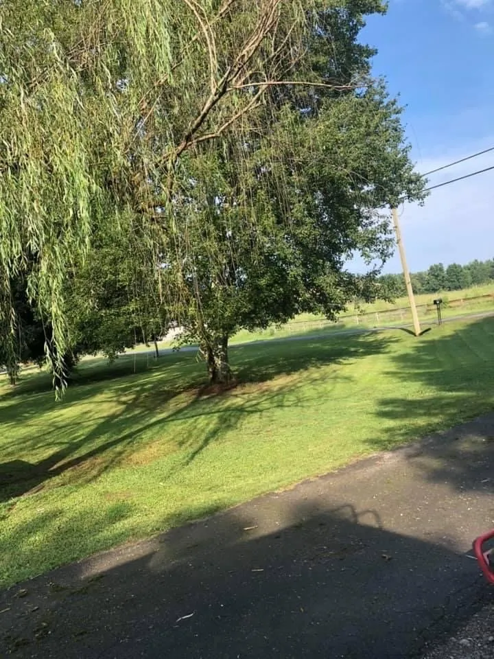 Top-rated landscape design experts serving Arab, AL - Logan’s Lawn Care