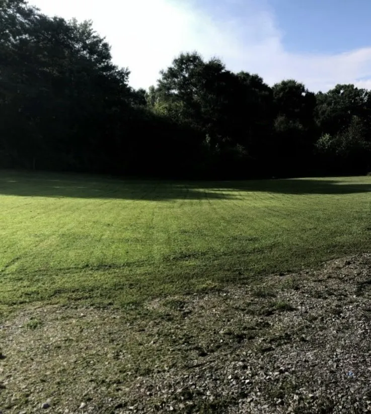 Trusted yard cleanup service for beautiful yards across Arab, AL - Logan’s Lawn Care