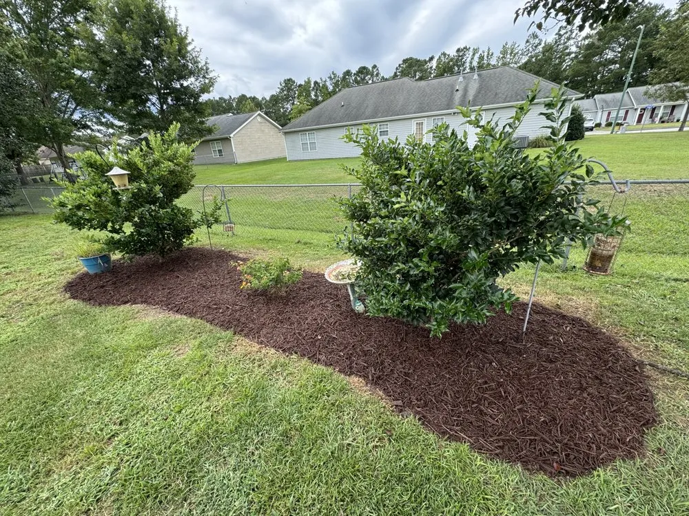 Trusted landscaping services in Bridgeton, NC - Logan’s Lawn Care