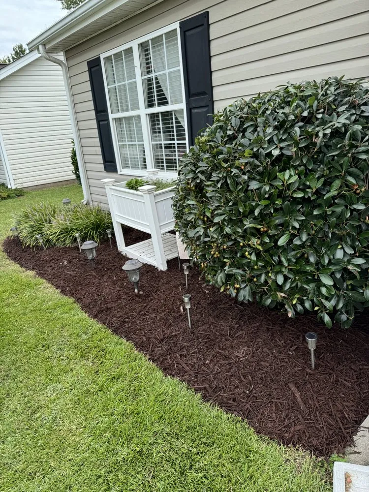 Custom yard maintenance experts serving Bridgeton, NC - Logan’s Lawn Care