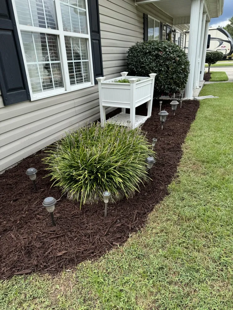 Custom yard cleanup service in Bridgeton, NC by Logan’s Lawn Care