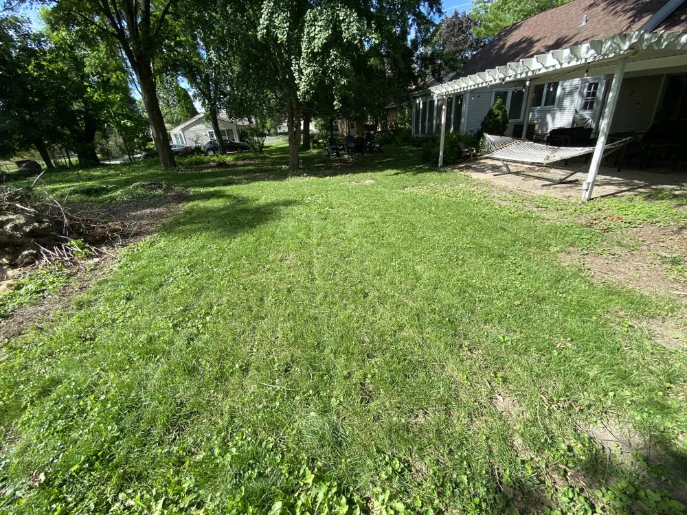 Affordable yard cleanup service in Burlington, WI by Logans Lawn Care